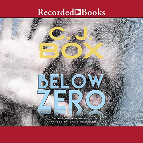 below zero book ali hazelwood