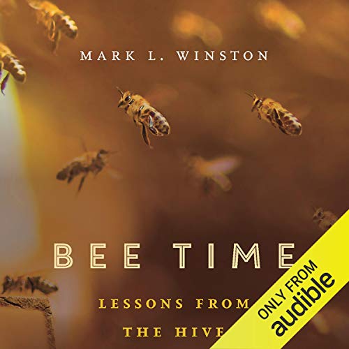 Bee Time: Lessons from the Hive