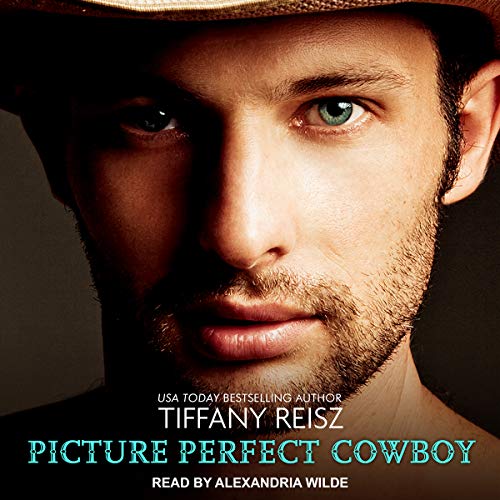 Picture Perfect Cowboy (The Original Sinners #8.5)