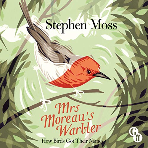 Mrs Moreau’s Warbler