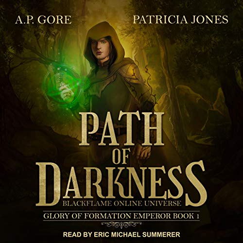 Path of Darkness: BlackFlame Online Litrpg/Gamelit Universe