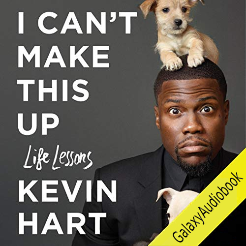 I Can't Make This Up audiobook